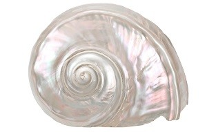 Researchers have developed a material to mimic the strength and toughness of mother of pearl. Credit: stevemart/Shutterstock.com