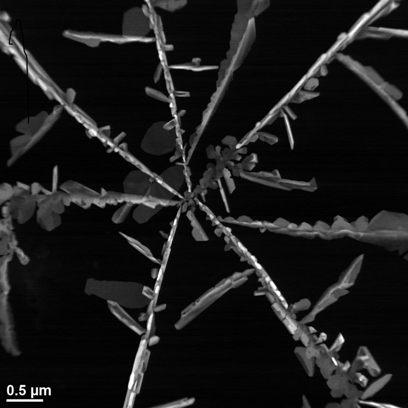 Large aggregations of silver nanoparticles form when dissolved silver is added to a sugary soft drink. Credit: Adapted from ACS Applied Materials & Interfaces 2021, DOI: 10.1021/acsami.0c17867