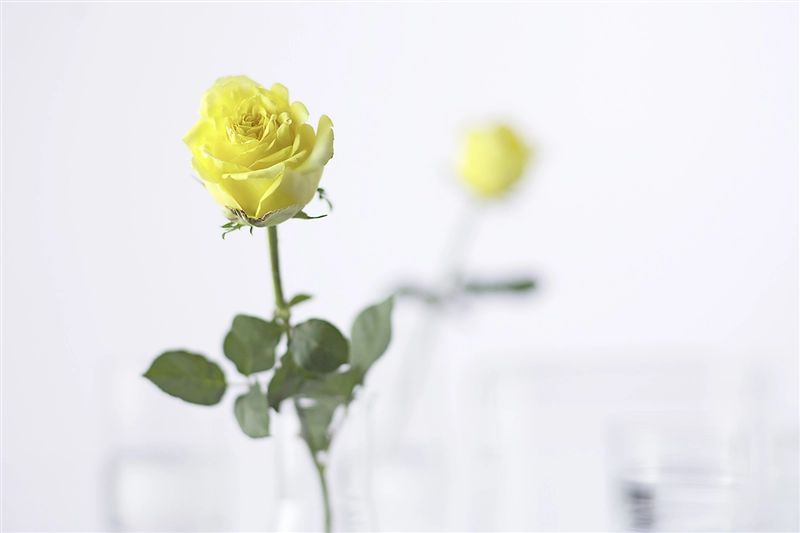 GlucoTain and GlucoPure ingredients offer sustainability benefits plus powerful foaming and cleaning properties. (Photo: Clariant)