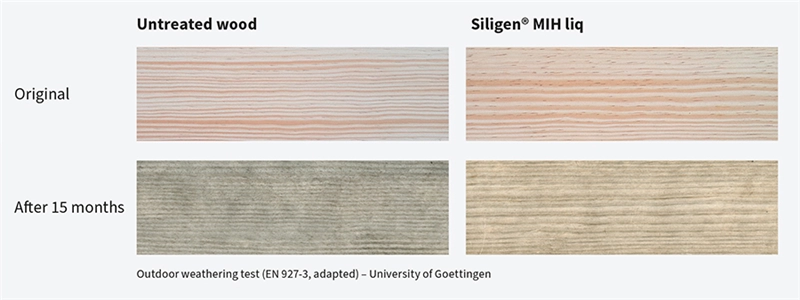 Outdoor weathering test of Siligen® MIH liq treated and untreated wood. (Photo: University of Goettingen)