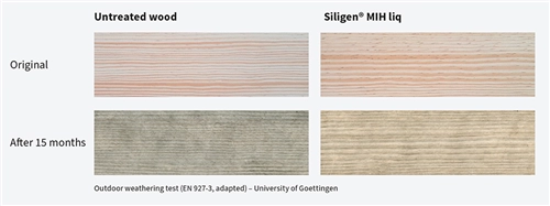 Outdoor weathering test of Siligen® MIH liq treated and untreated wood. (Photo: University of Goettingen)