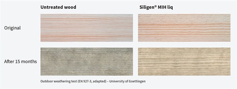 Outdoor weathering test of Siligen® MIH liq treated and untreated wood. (Illustration: University of Goettingen)