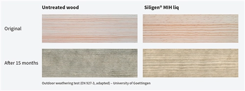 Outdoor weathering test of Siligen® MIH liq treated and untreated wood. (Illustration: University of Goettingen)