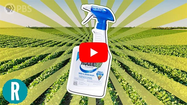 Why isn’t weed killer working anymore? (video)