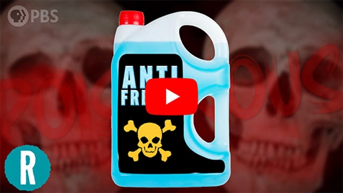 Time to Strike Antifreeze Off Your List of Usable Poisons