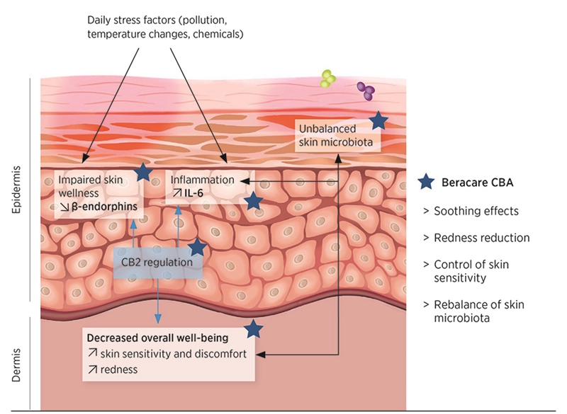 The slightest stress increases skin sensitivity.