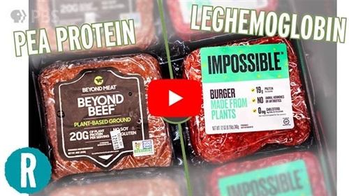 What is meat? (video)