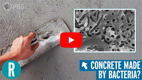 The rise of bio-concrete (video)