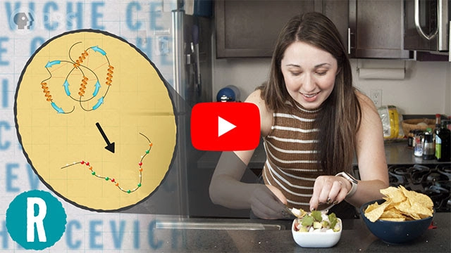 How is ceviche ‘cooked?’ (video)